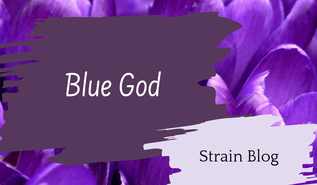Blue God Blog