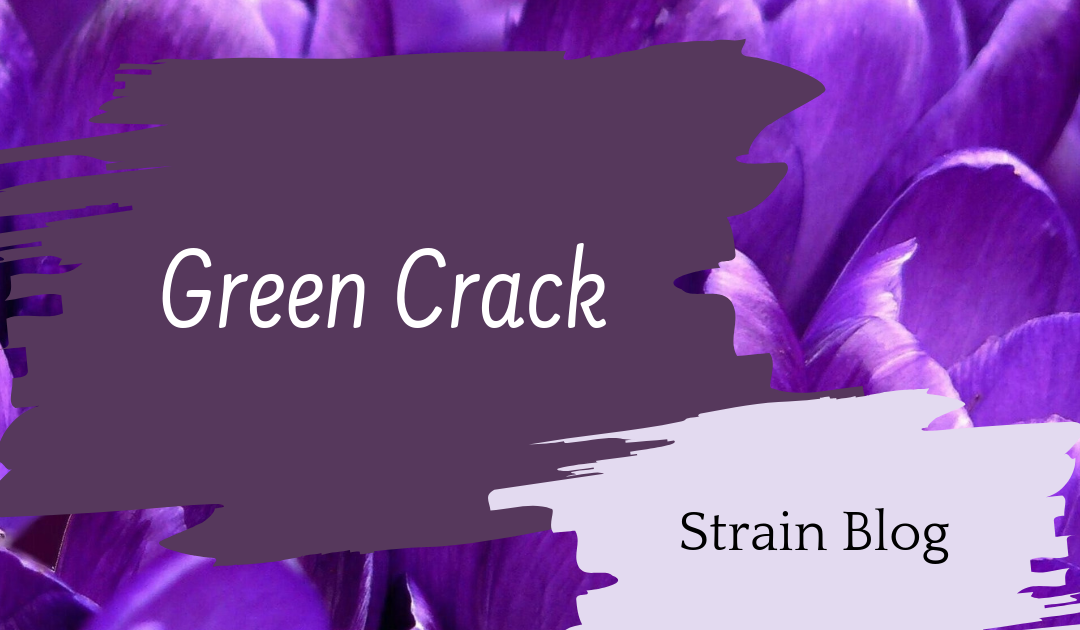 Green Crack Blog