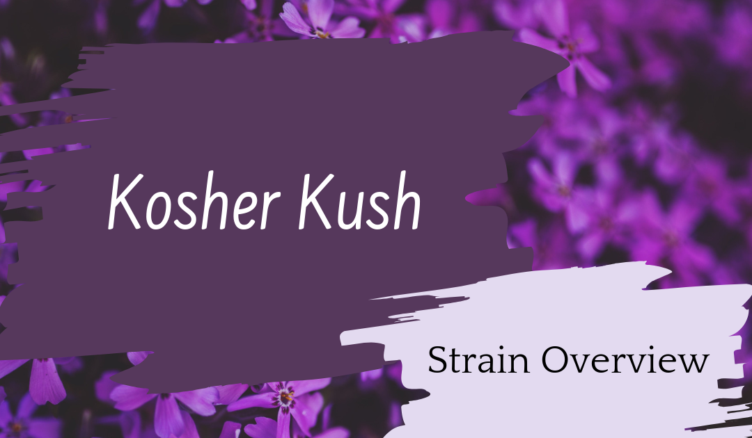 Kosher Kush Overview