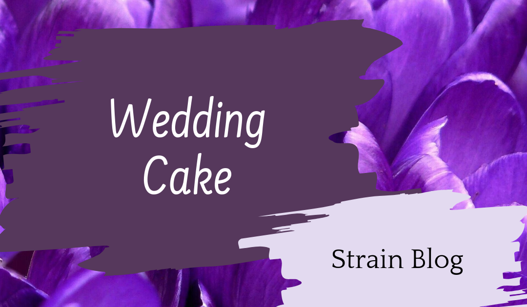 Wedding Cake Blog