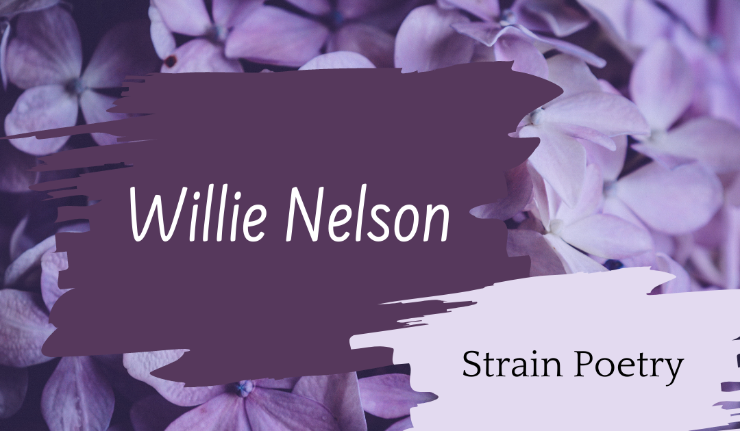 Willie Nelson Poem