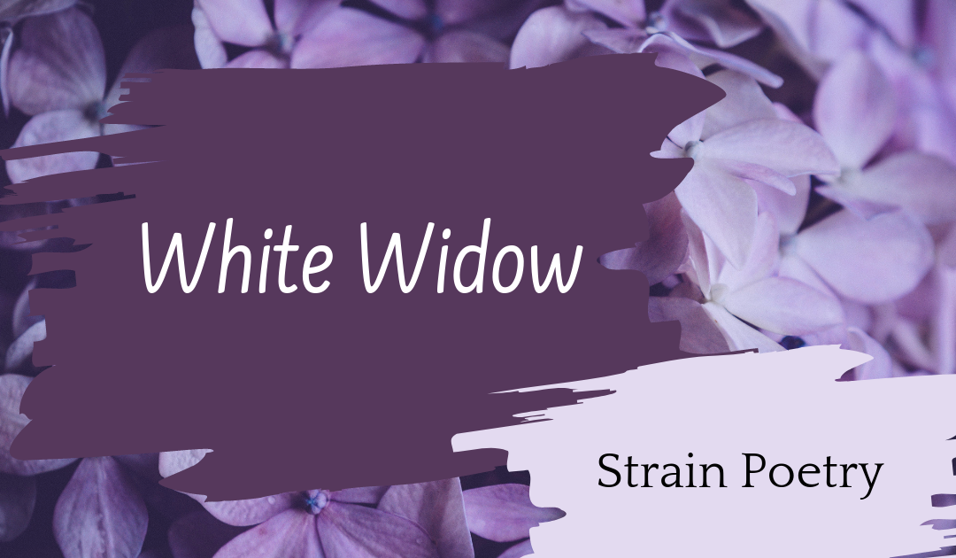 White Widow Poem