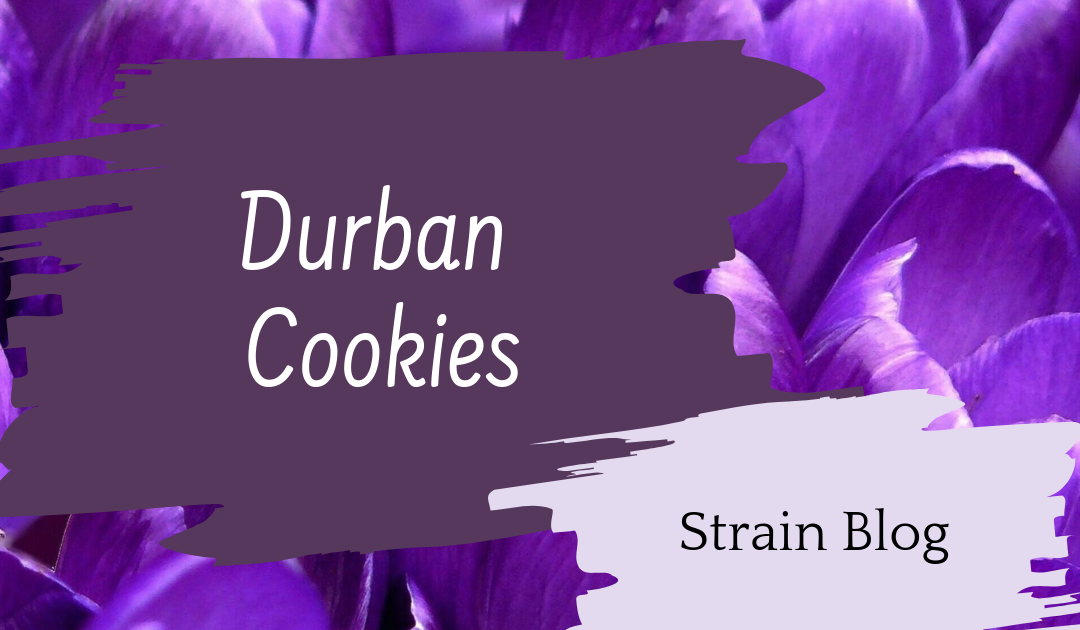 Durban Cookies Blog