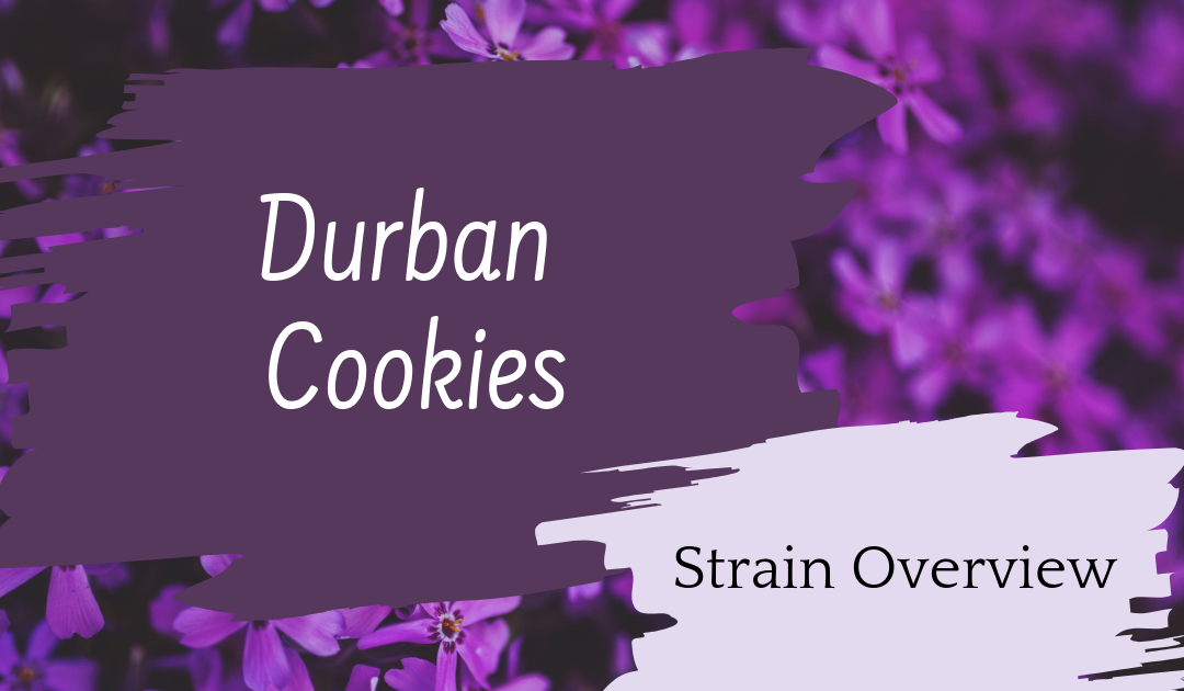 Durban Cookies Overview