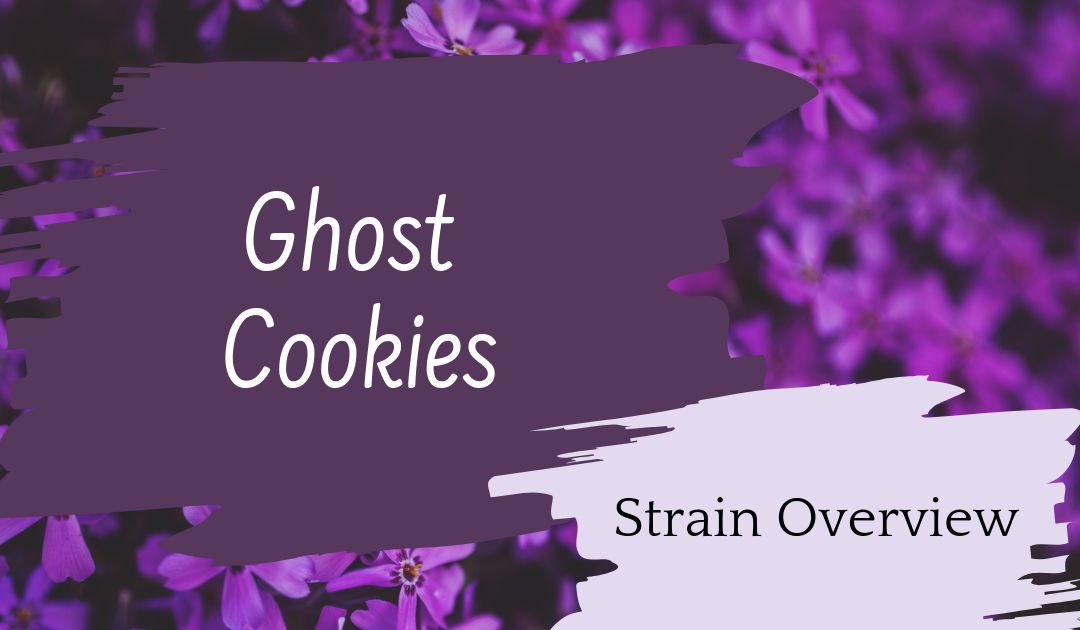 Ghost Cookies Overview