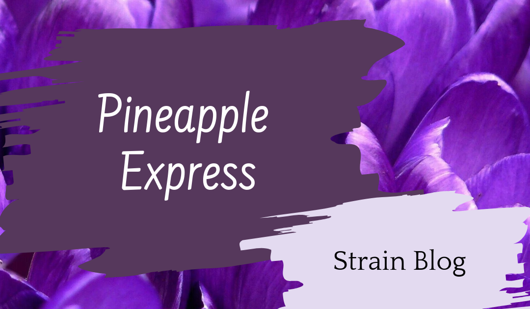 Pineapple Express Blog