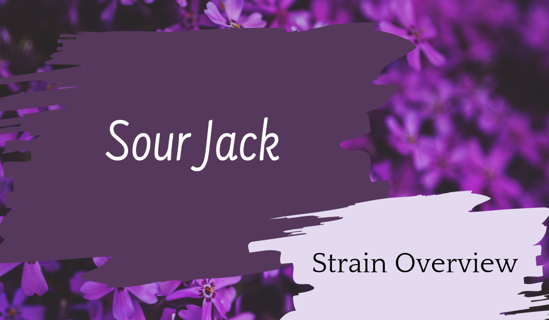 Sour Jack Overview