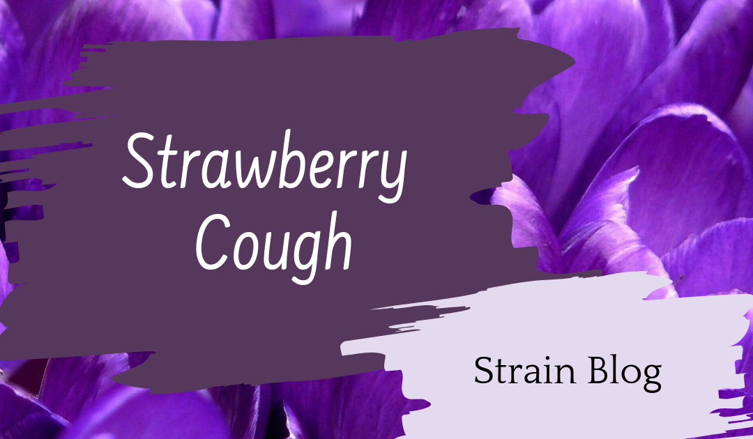 Strawberry Cough Blog