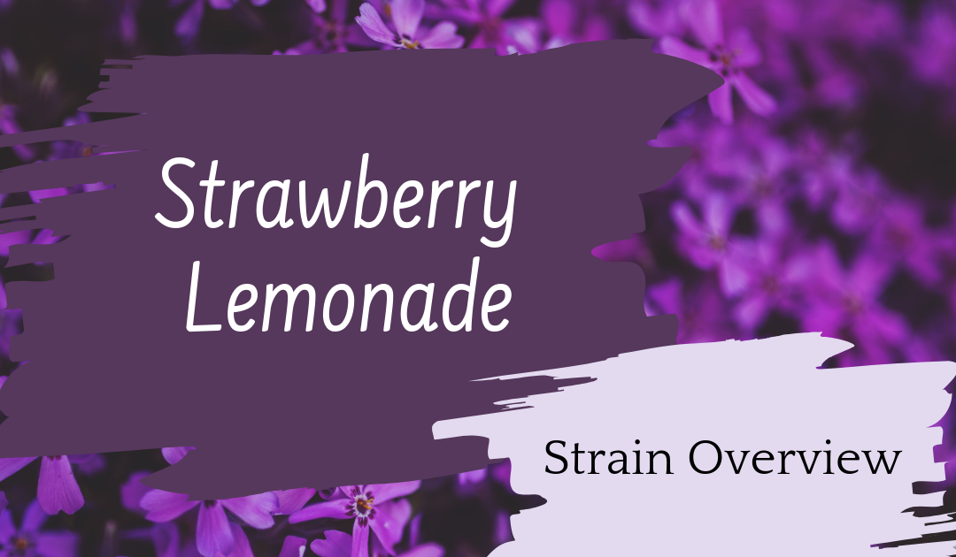 Strawberry Lemonade Overview