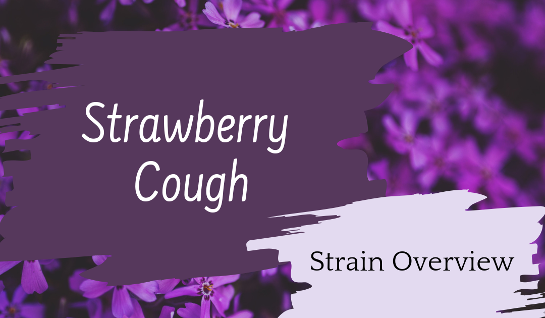 Strawberry Cough Overview