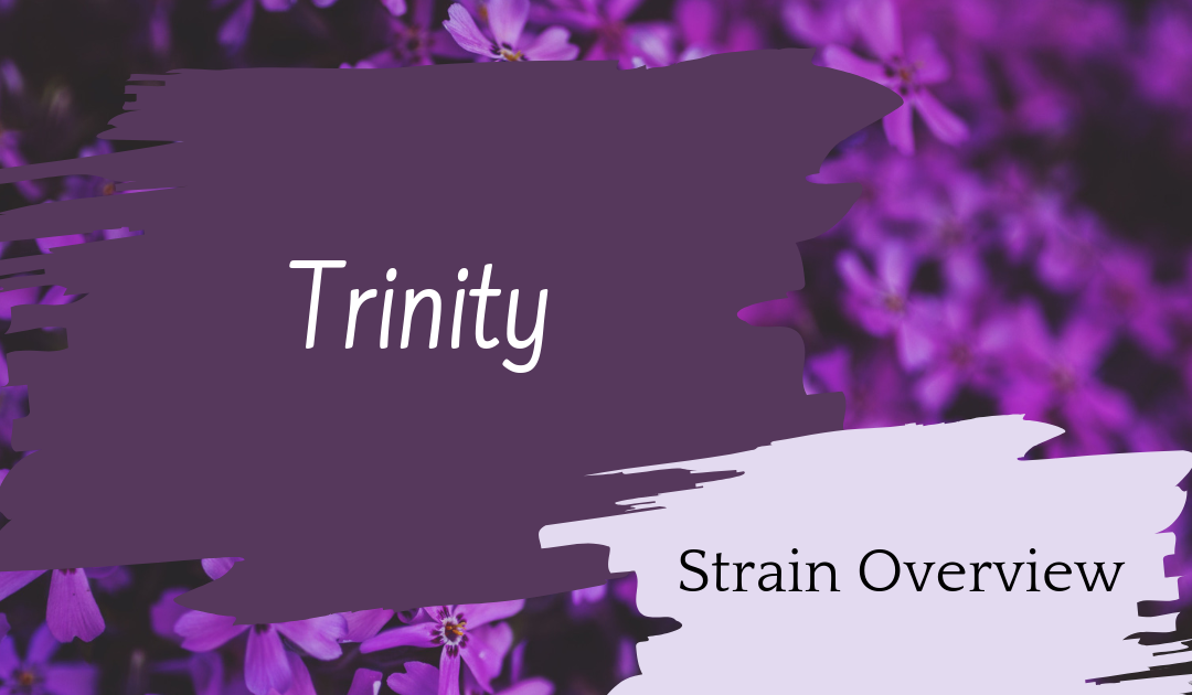 Trinity Overview