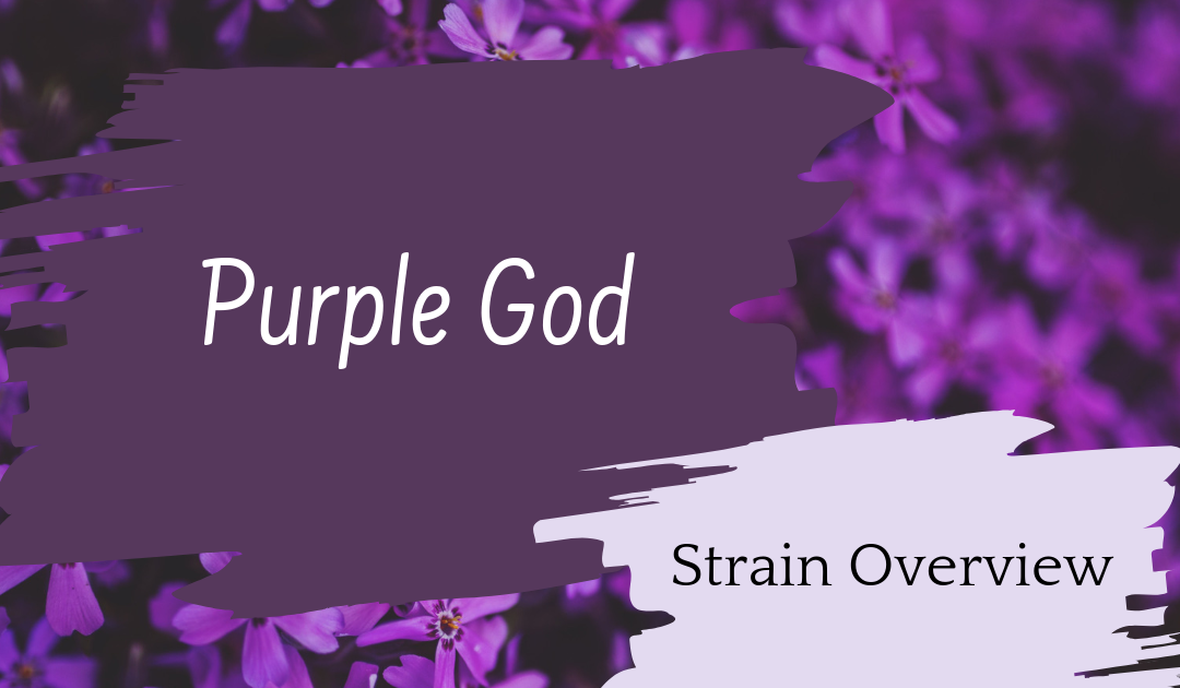 Purple God Overview