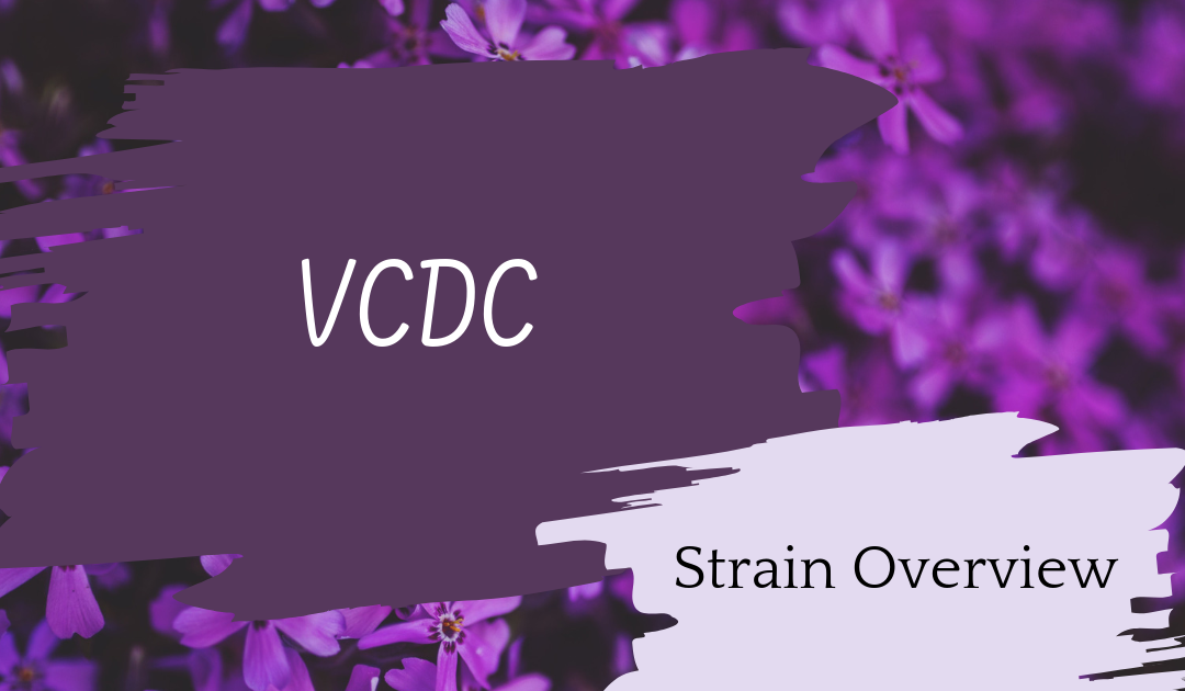 VCDC Overview