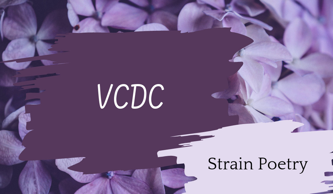 VCDC Poem