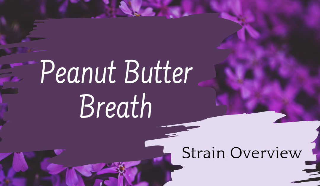 Peanut Butter Breath Overview