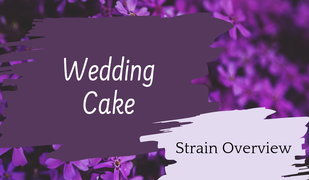 Wedding Cake Overview