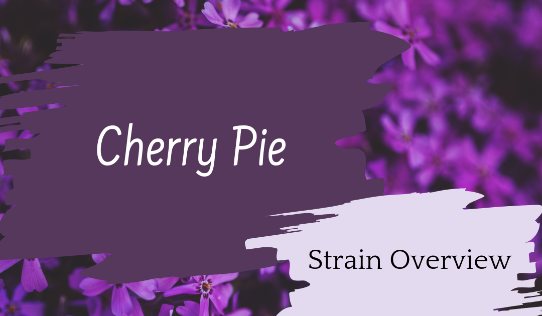 Cherry Pie Overview