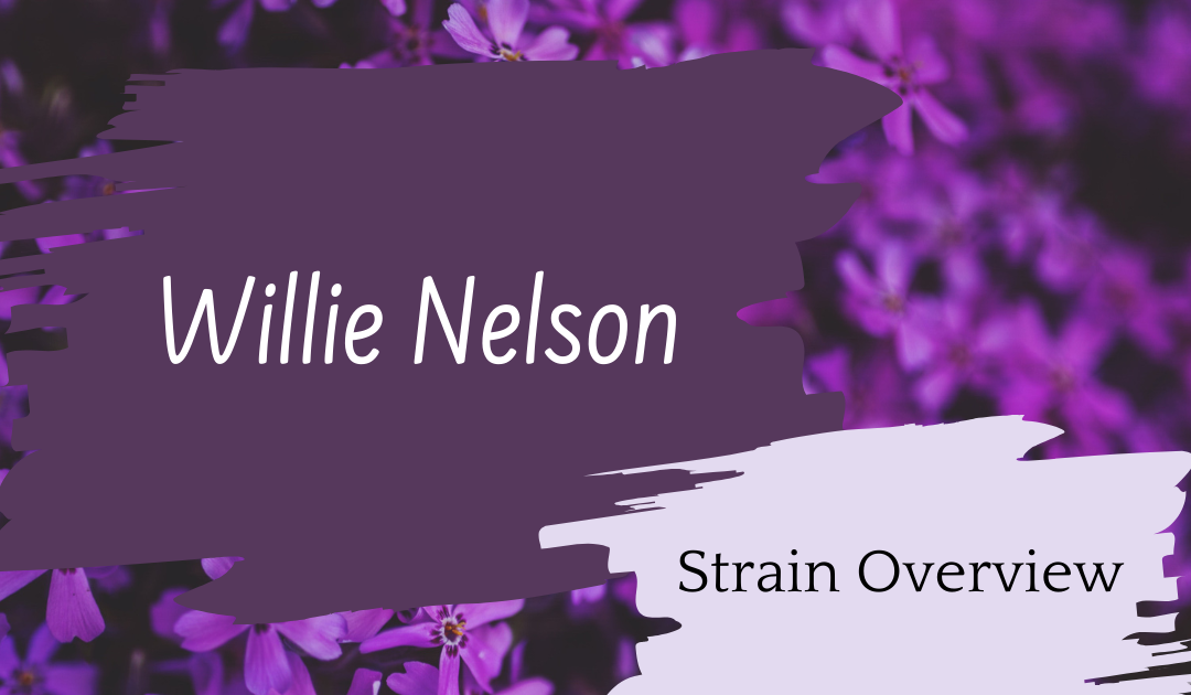 Willie Nelson Overview